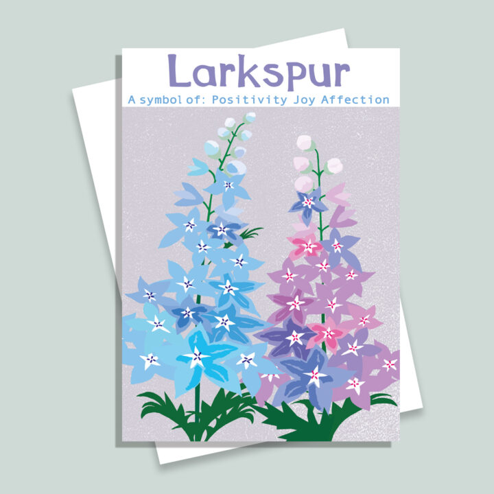 H7 Larkspur Card