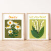 HPR5-4 Lily Of The Valley Print - Image 3