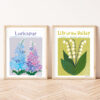 HPR7-4 Larkspur (Delphinium) Print - Image 3