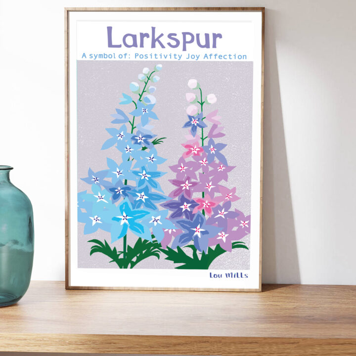 HPR7-4 Larkspur (Delphinium) Print